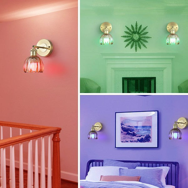 Elegant Glass Wall Lantern