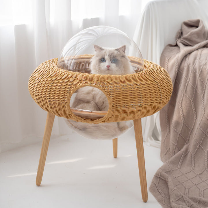 Multifunctional Cat Furniture