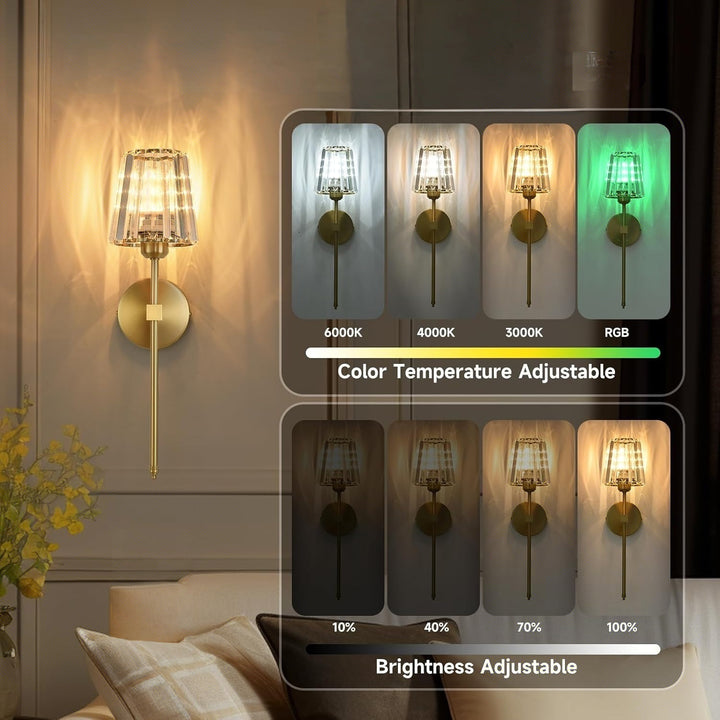 Crystal Accent Wall Light