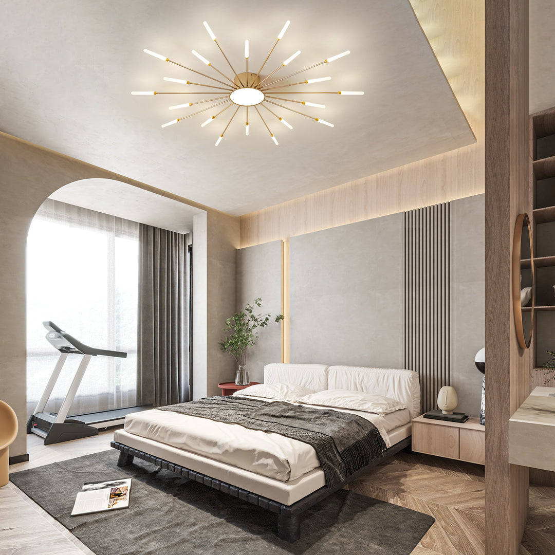 Star Explosion Style Ceiling Light