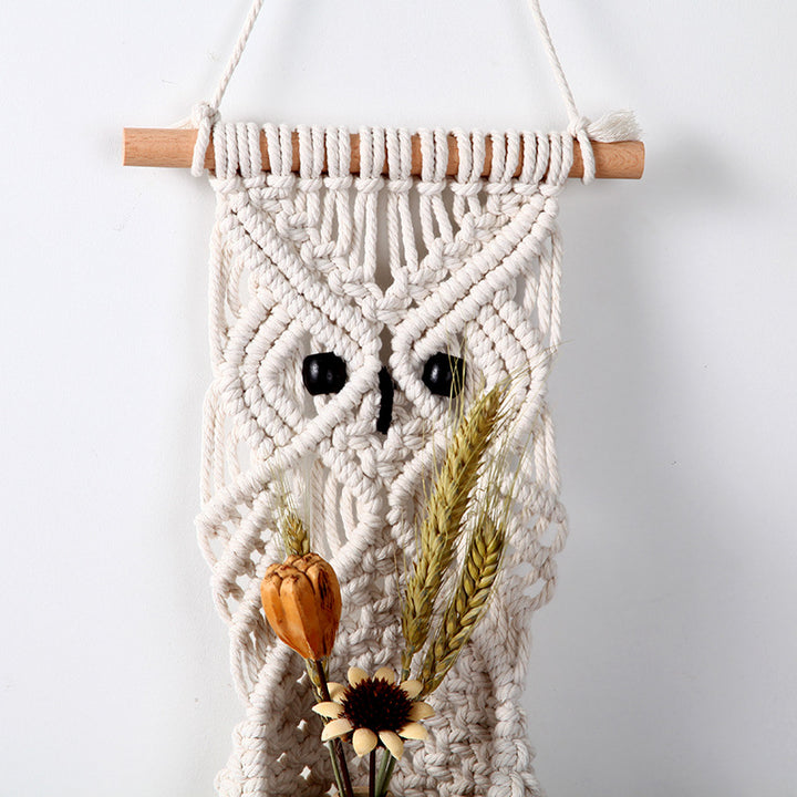 Macrame Owl Hanging Planter