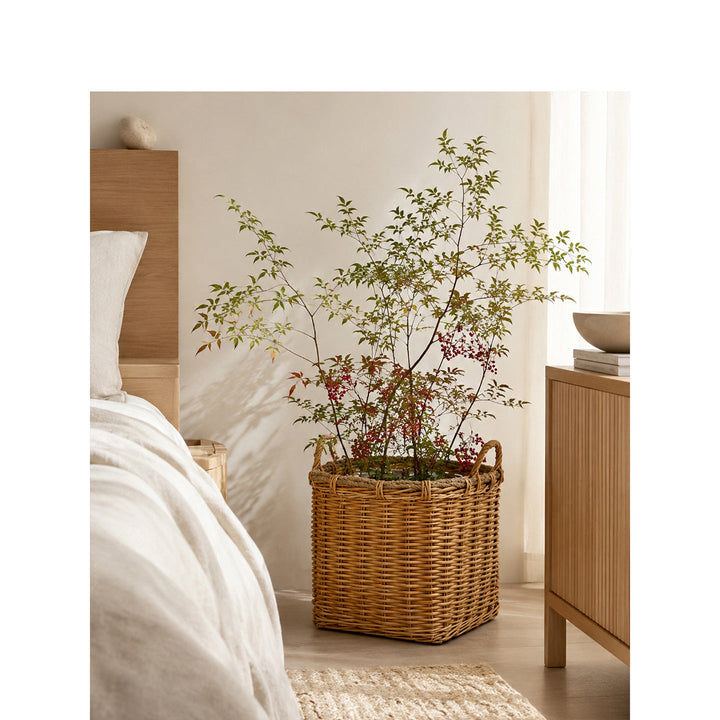 Atmospheric storage baskets