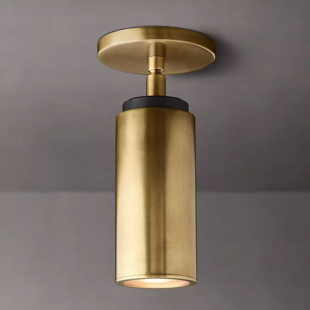 Modern ceiling lamp