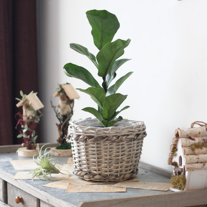 Rustic storage basket made of natural material