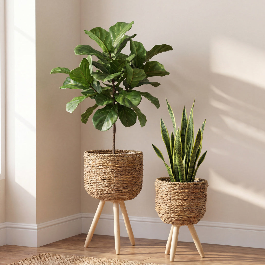 Avarnia Planter