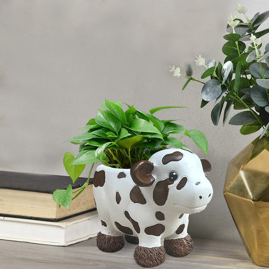 Flower pot in the shape of a cow