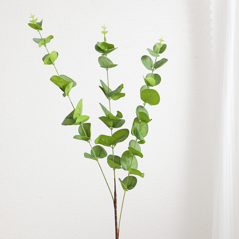 Decorative Plants