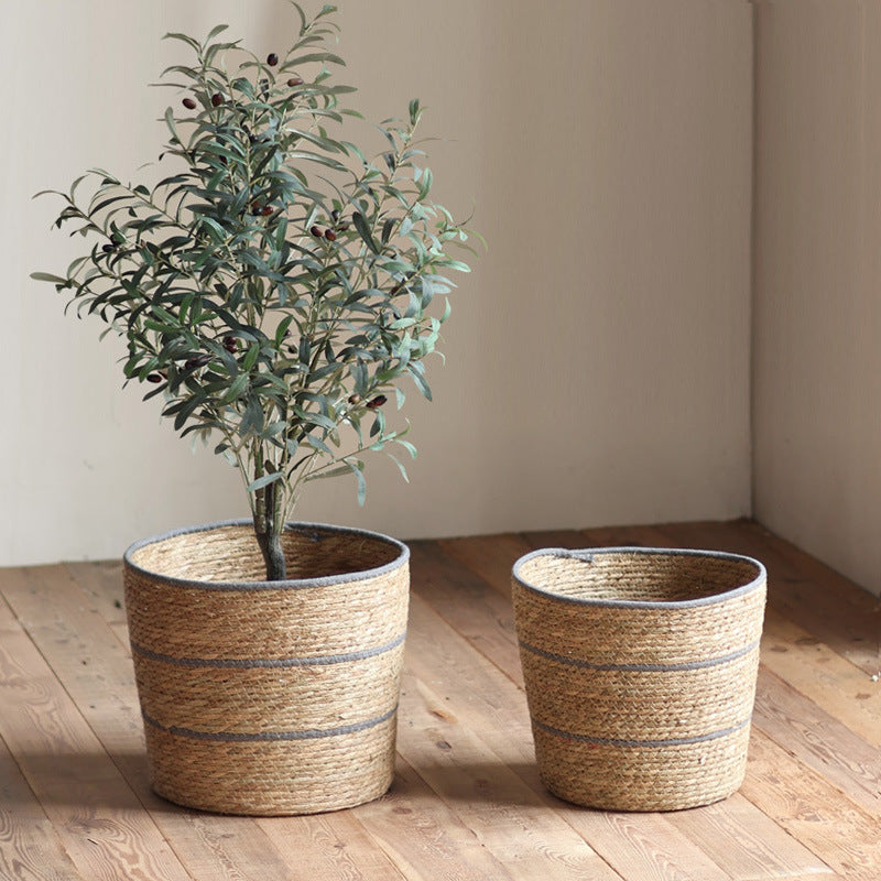 Plant basket