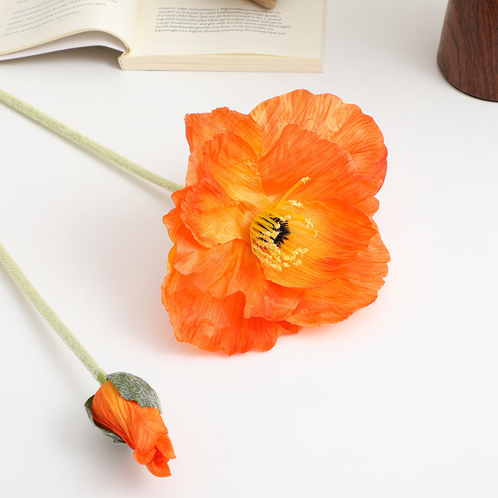 Realistic artistic poppy flower