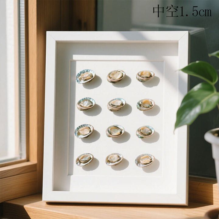 Decorative Shell Art Shadow Box