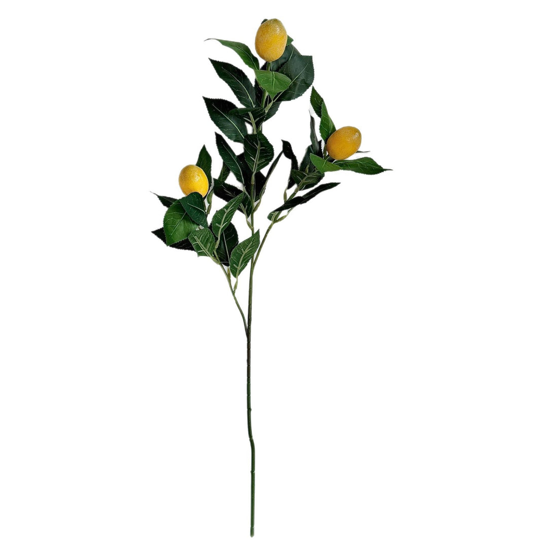 Artificial Lime Branch