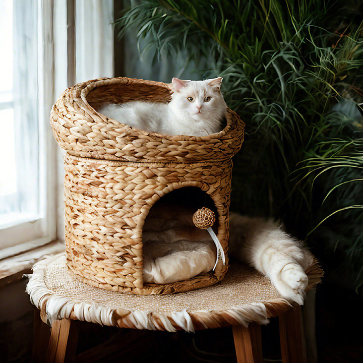 Cat bed