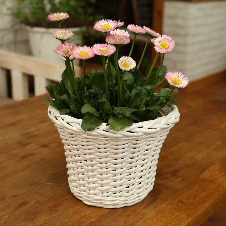 Decorative plant basket made of woven material