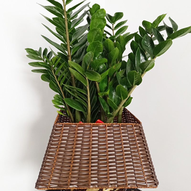 Storage Basket