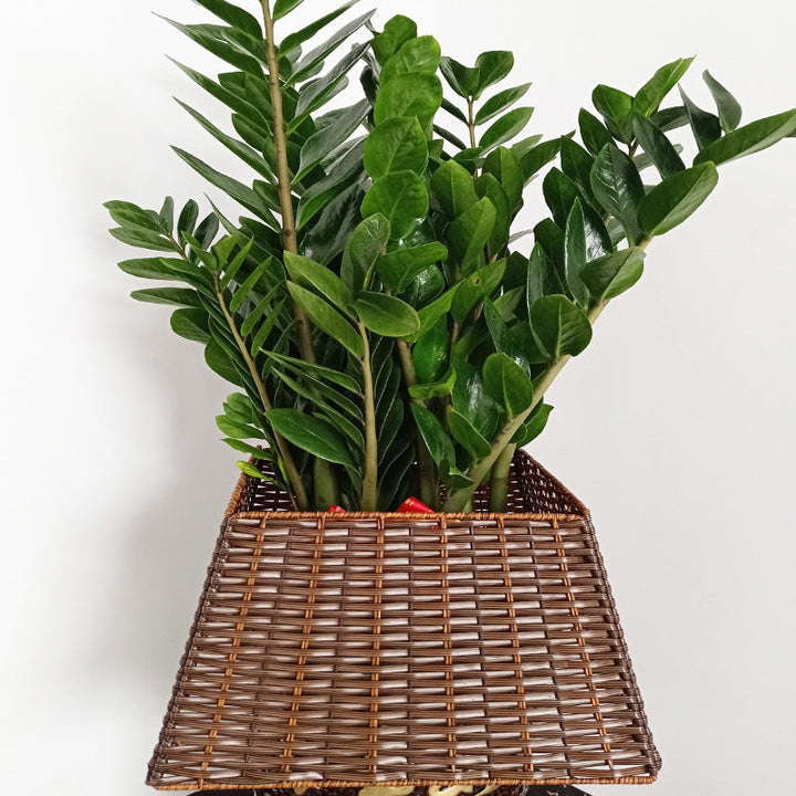 Storage Basket