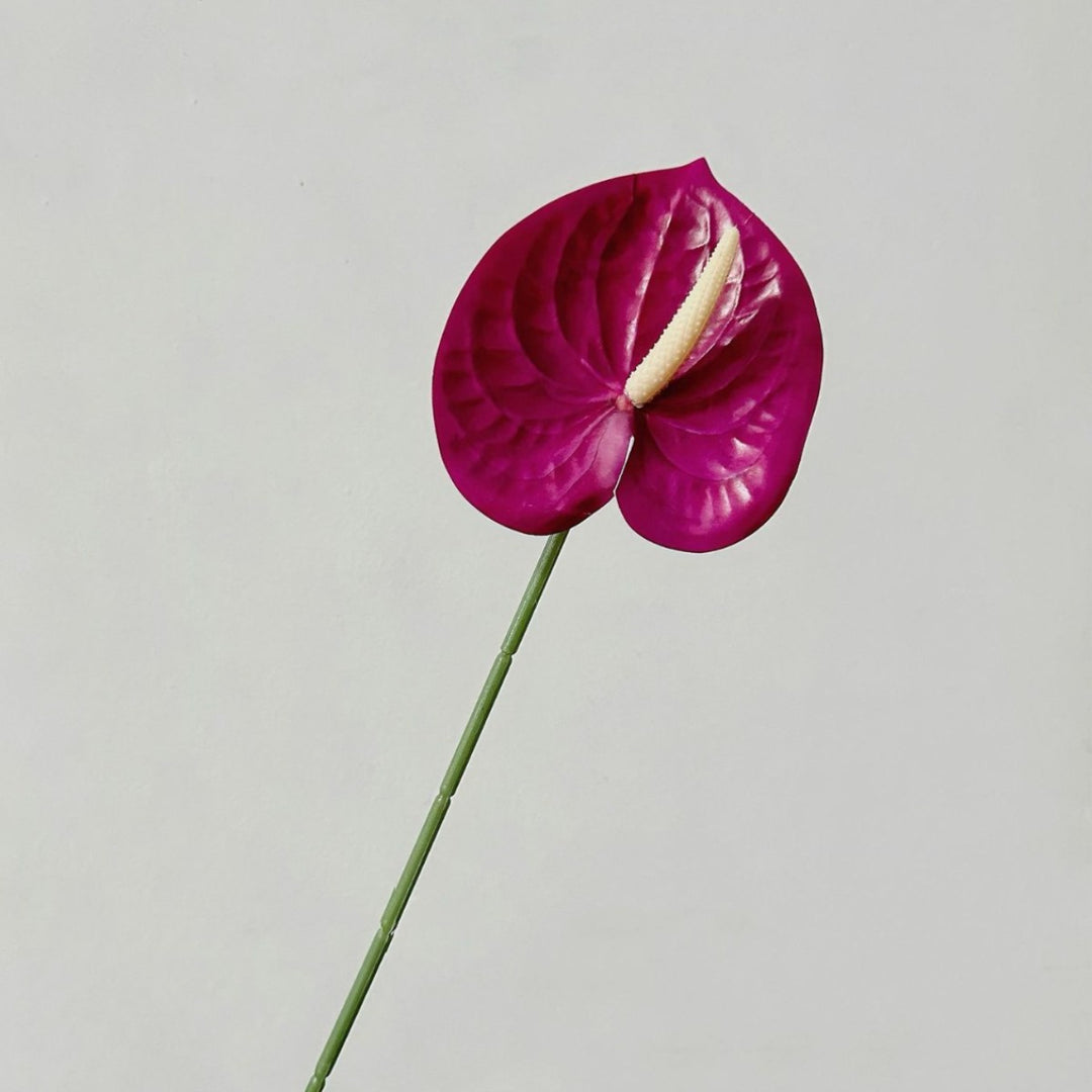 Elegant Orchid Floral Stem