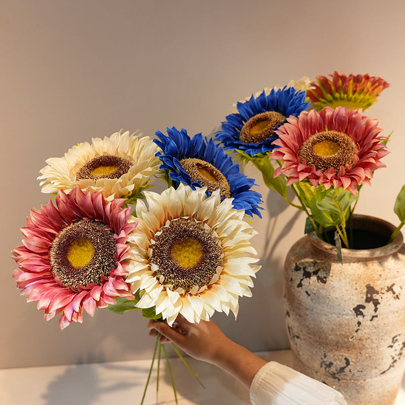 Decorative Plant