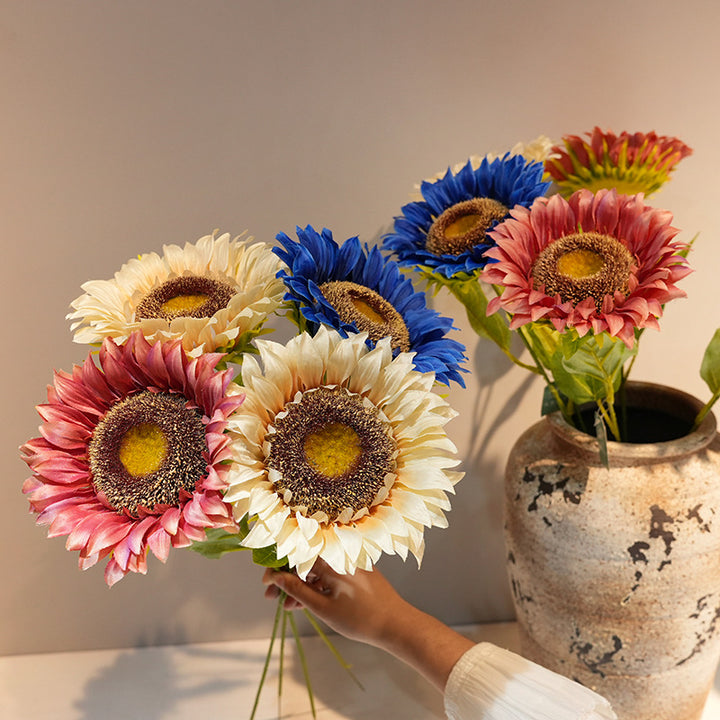 Decorative Plant