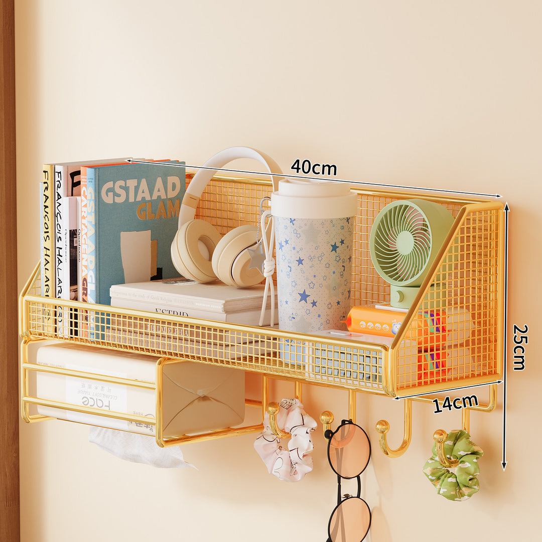 Wall-mounted mesh storage shelf