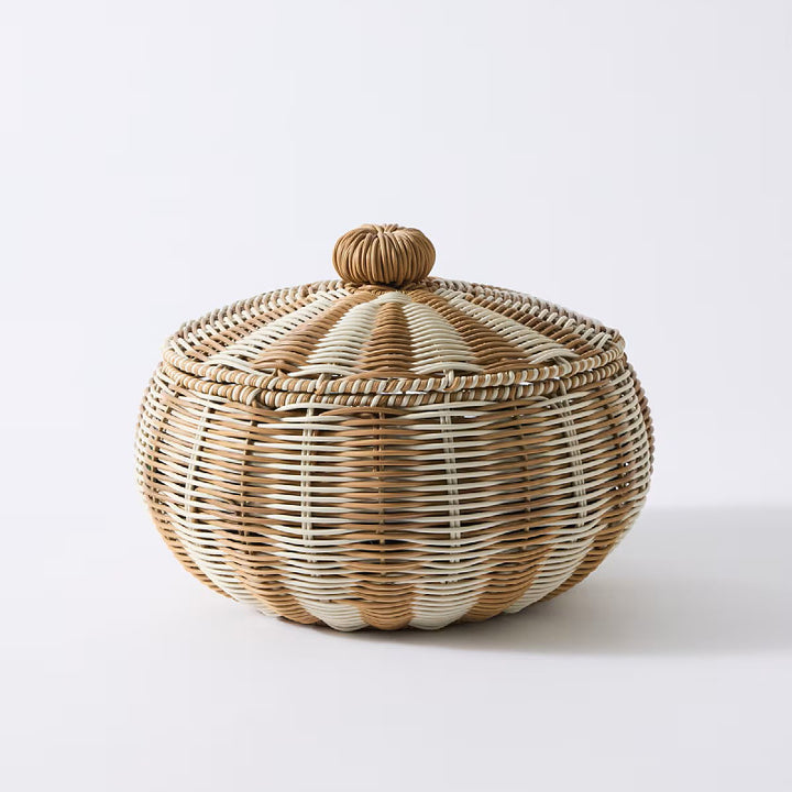 Stylish basket with lid