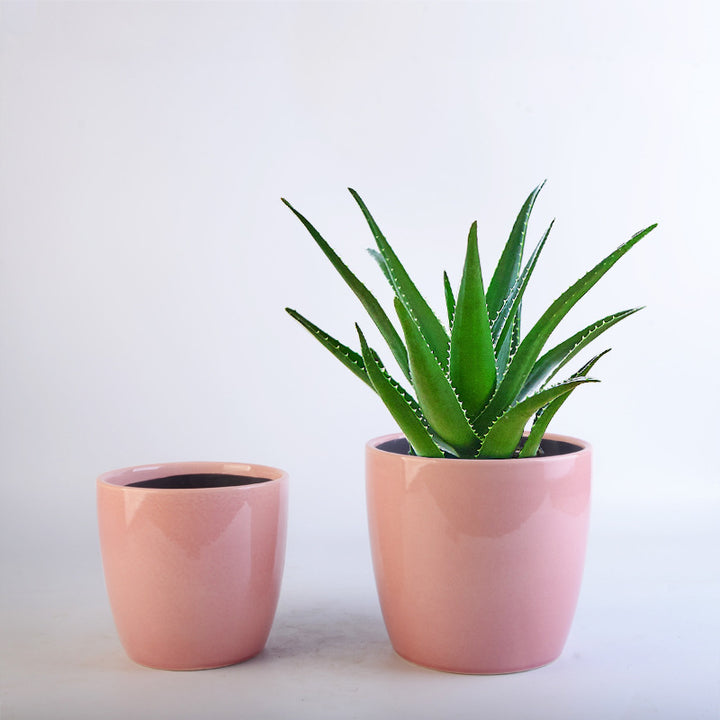 Flower Pot Set