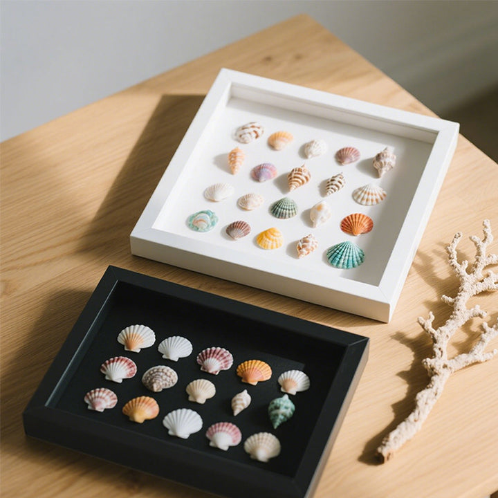 Decorative Shell Art Shadow Box