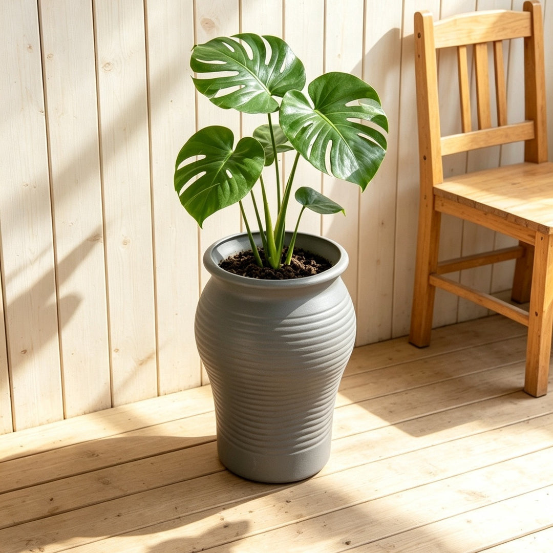 Decorative Planter