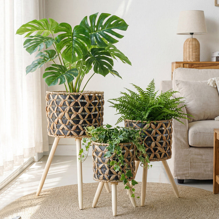Plant stand made of braided material