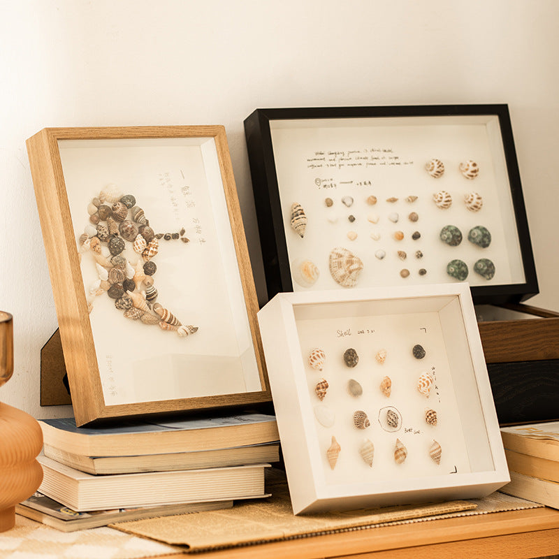 Shell Display Shadow Box