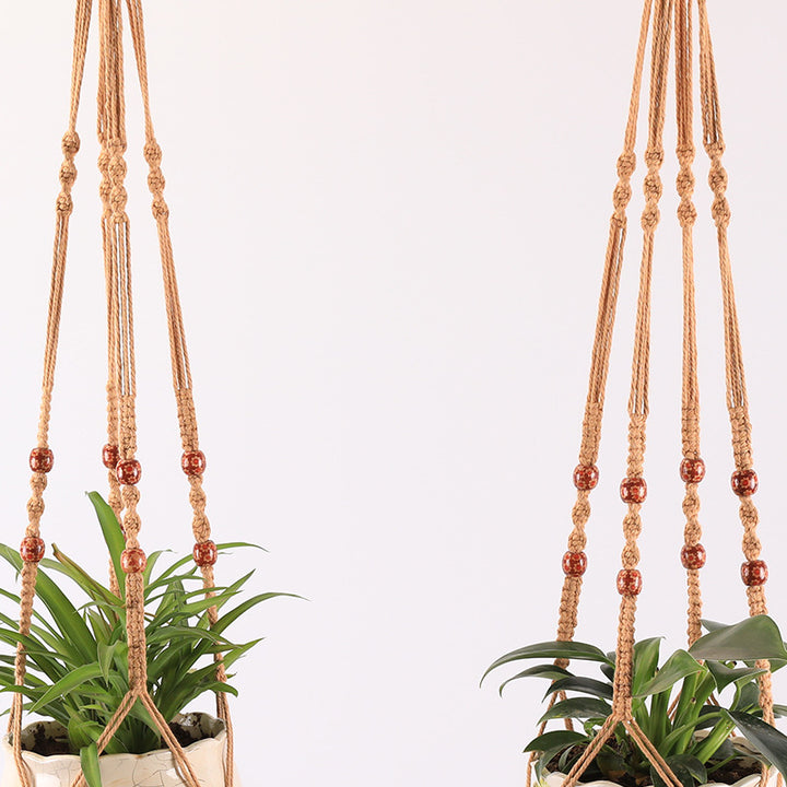 Plant hanging holder