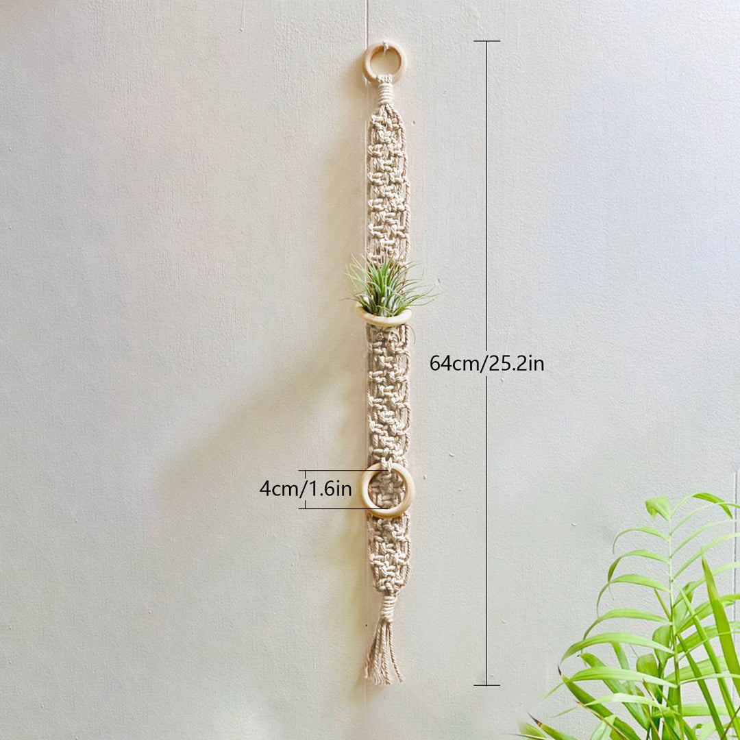 Macrame Wall Plant Holder