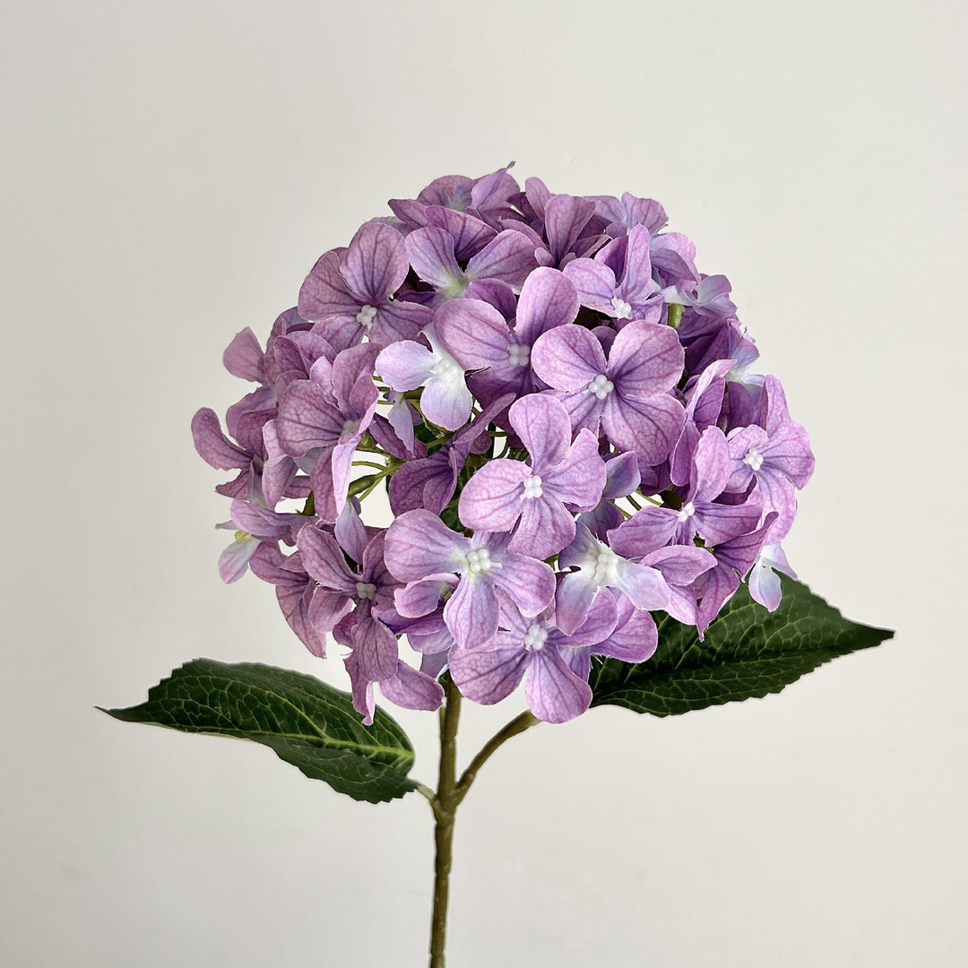 Realistic Floral Hydrangea Stem