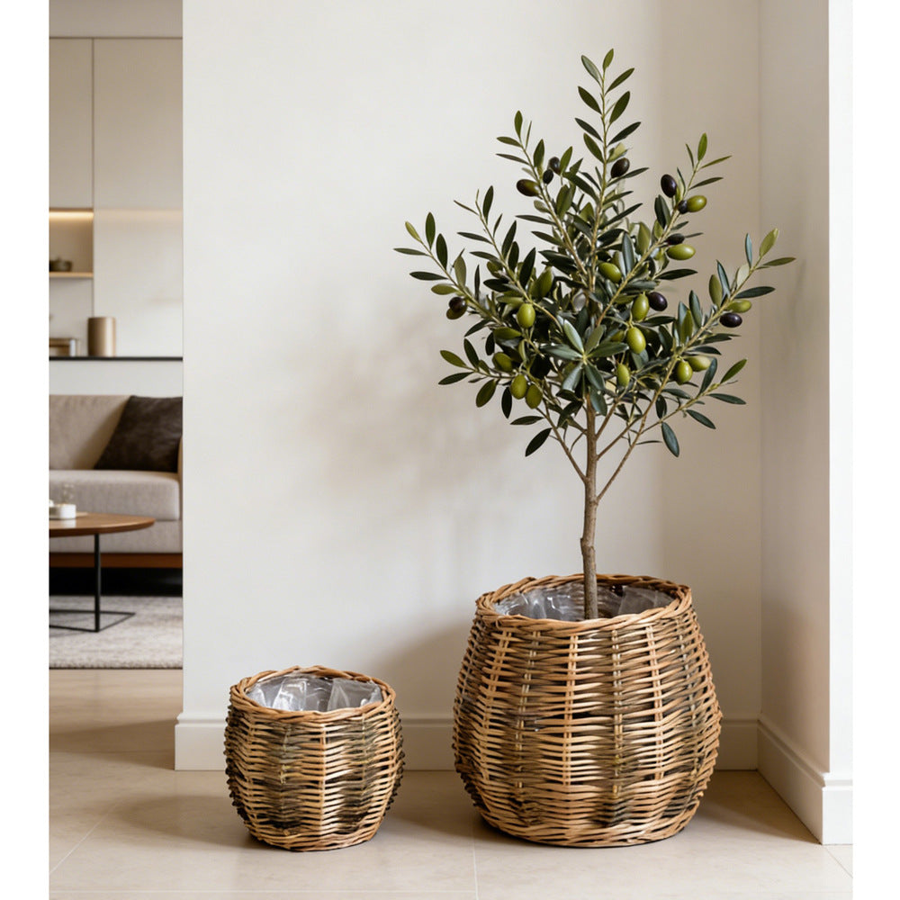 High-quality plant basket made of natural willow