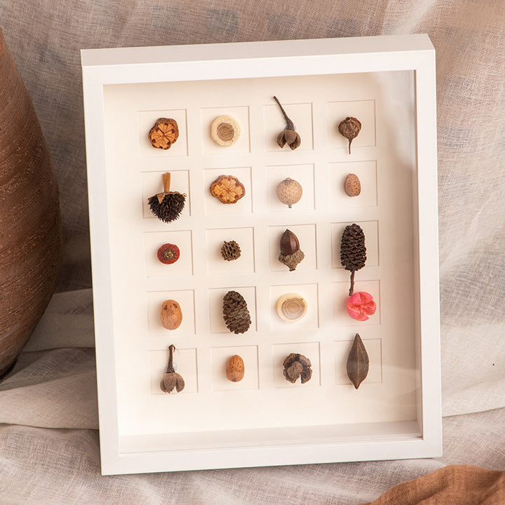 Botanical Specimen Display Frame