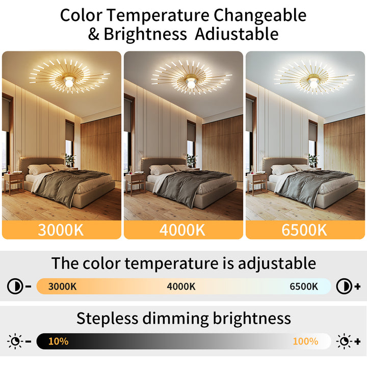Star Explosion Ceiling Light