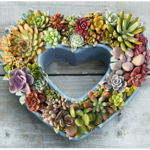 Decorative plant pot