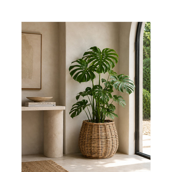 Decorative Laundry Basket