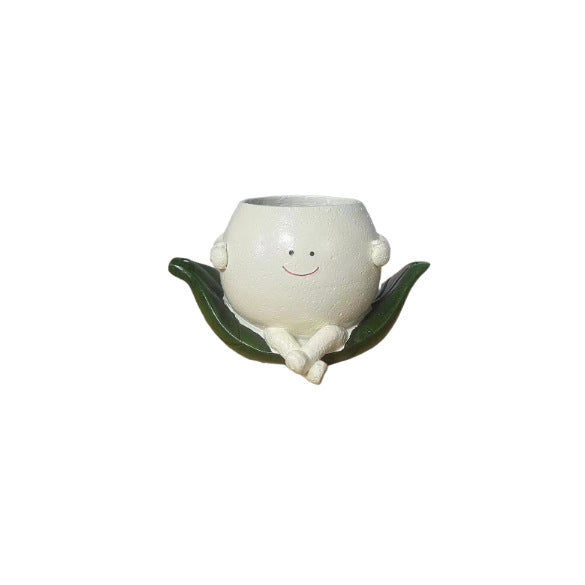 Decorative Plant Hanging Bowl