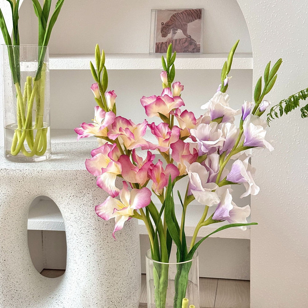 Elegant Gladiolus Floral Stem