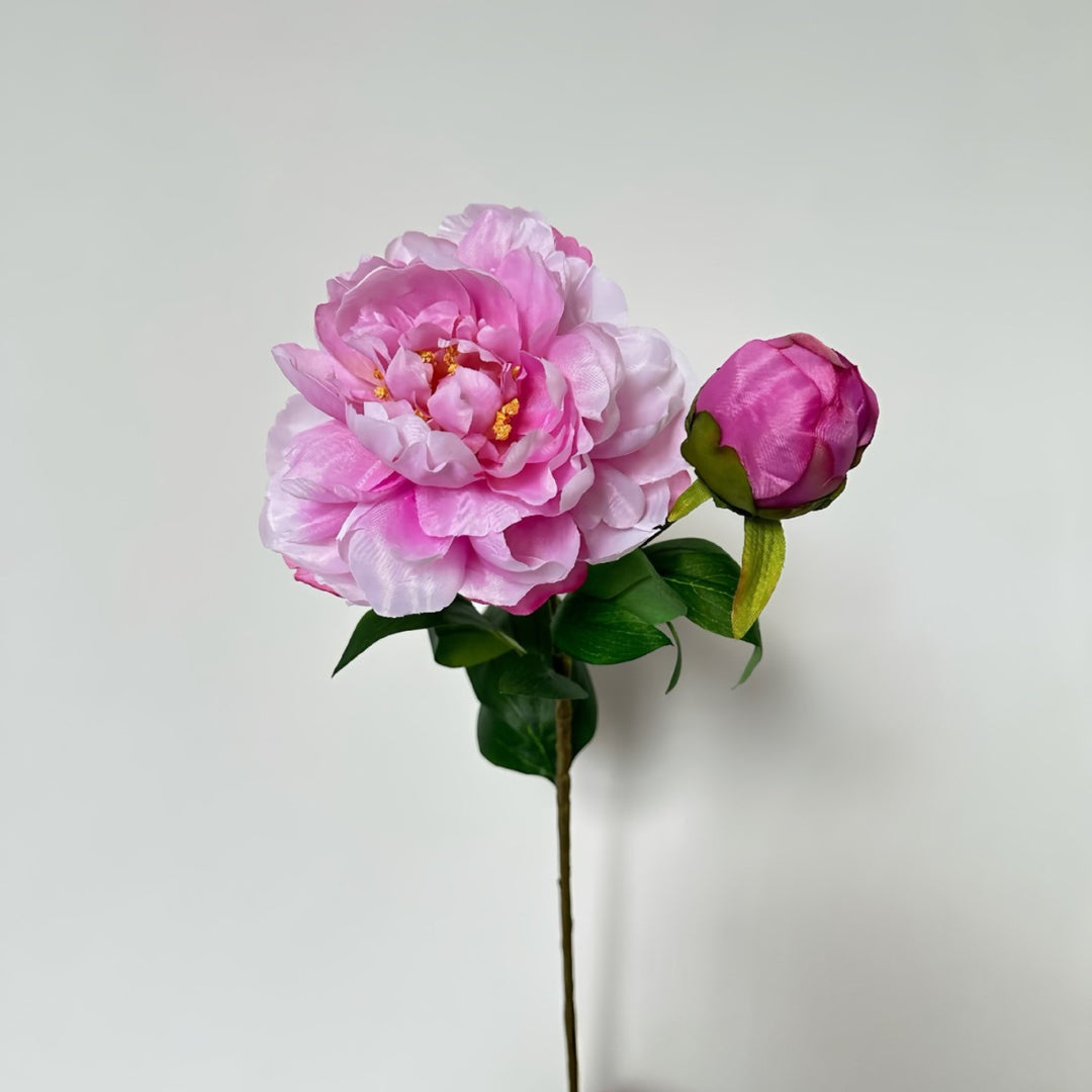 Realistic Peony Floral Stem for Flower Arrangements