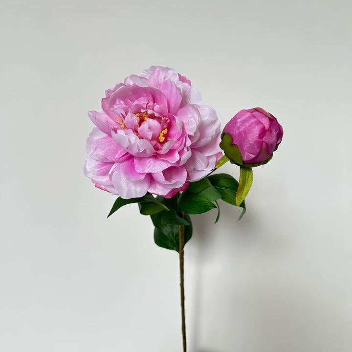 Realistic Peony Floral Stem for Flower Arrangements