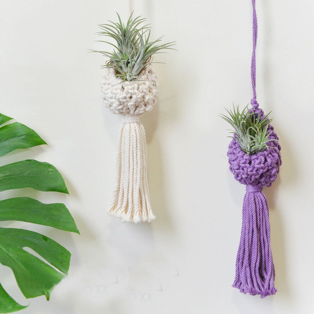 Macrame Hanging Plant Holder with Decorative Tassel
