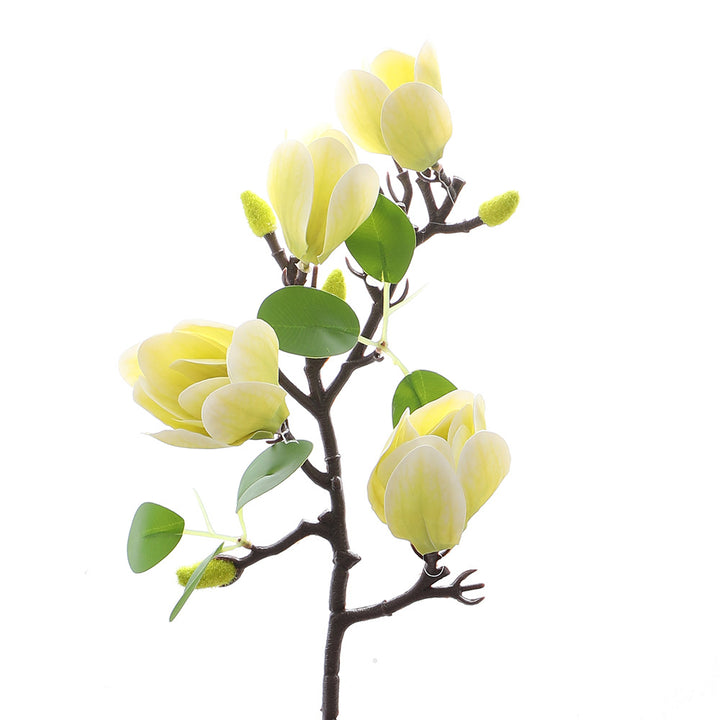 Decoration item Magnolia branch