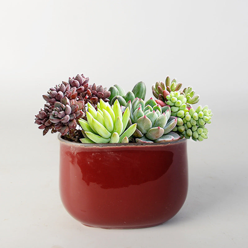 Flower pot