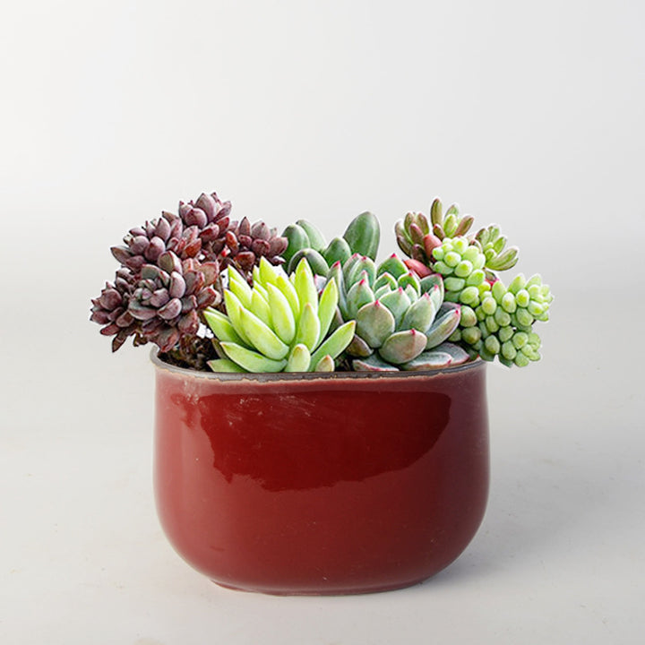 Flower pot