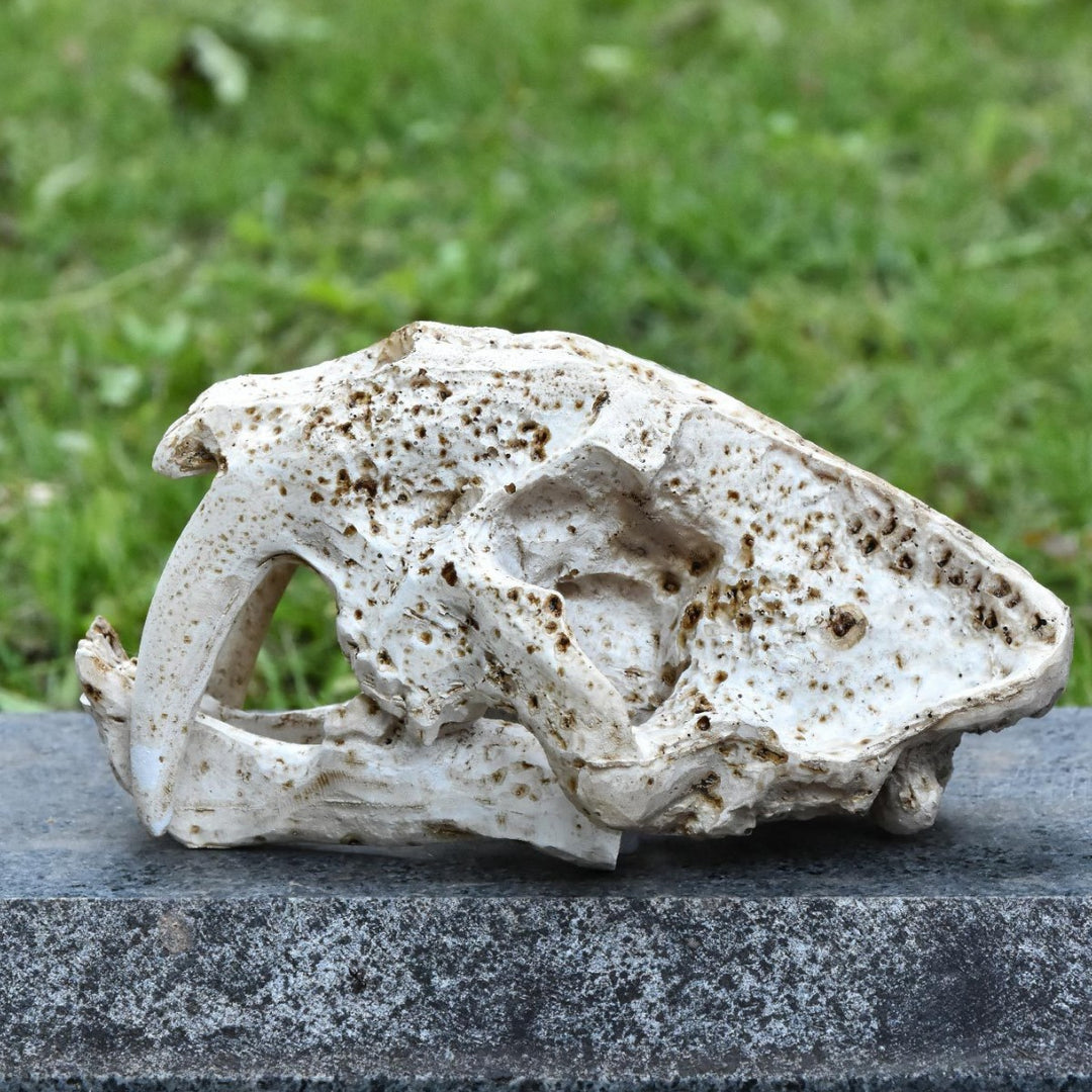 Decorative Animal Skull Figurine