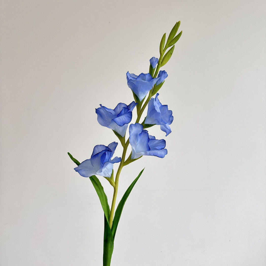 Elegant Gladiolus Floral Stem