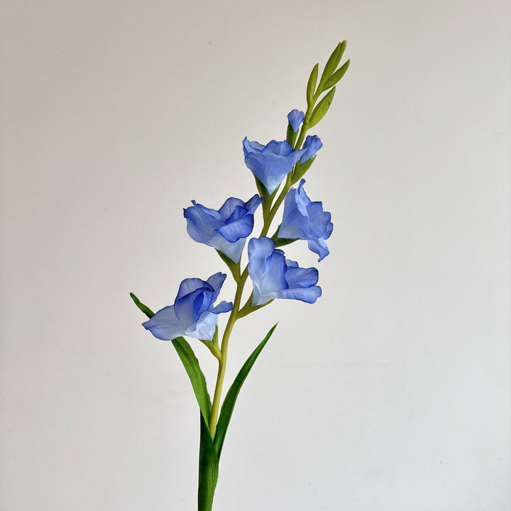 Elegant Gladiolus Floral Stem