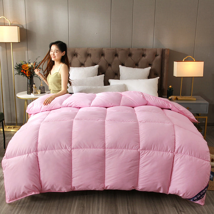 Cozy Comforter Avarnia