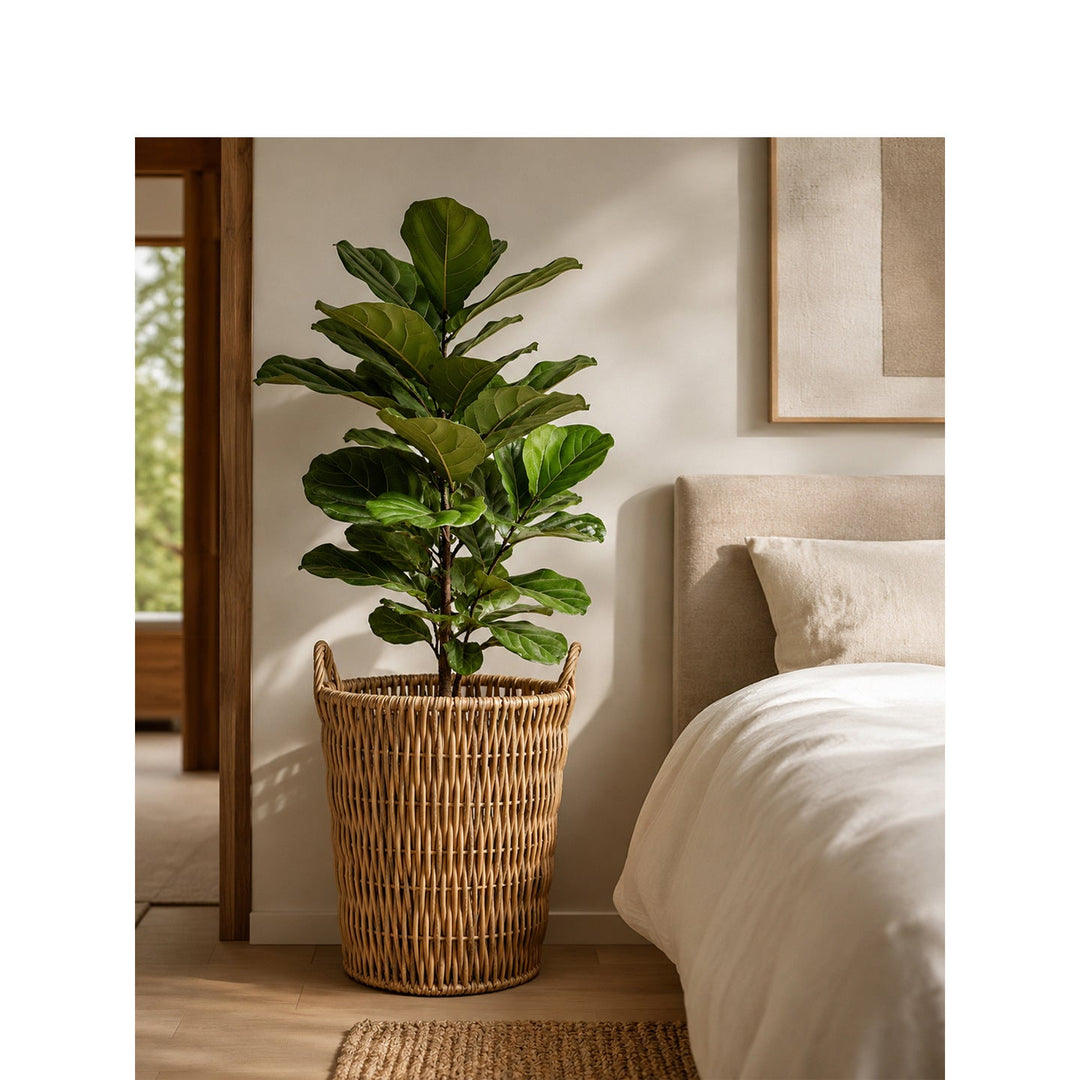 Storage basket